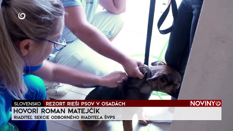 REZORT RIEŠI PSOV V OSADÁCH