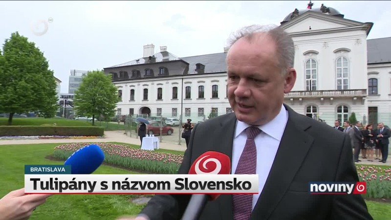 Tulipány s názvom Slovensko