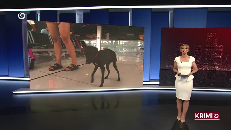 DVA POCHODY V CENTRE MESTA