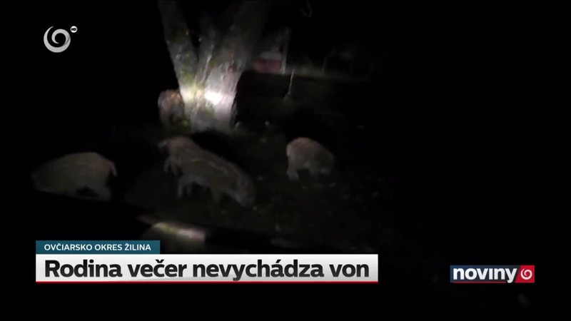 Rodina večer nevychádza von