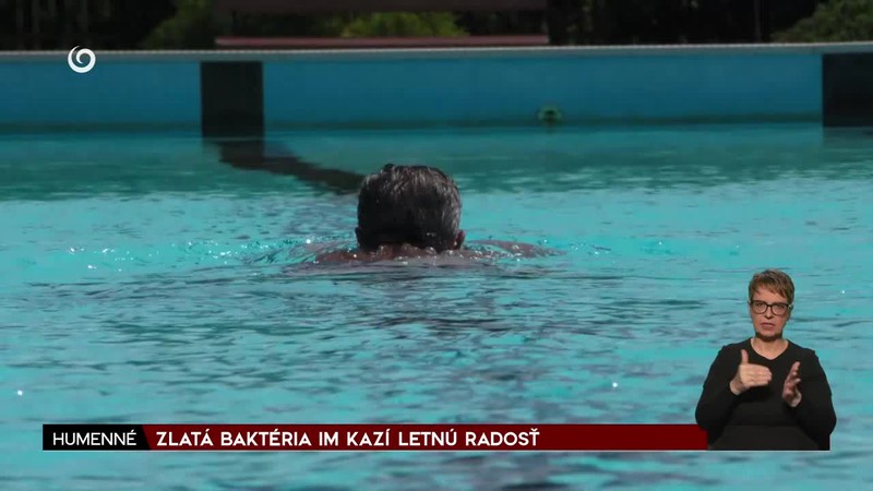 ZLATÁ BAKTÉRIA IM KAZÍ LETNÚ RADOSŤ