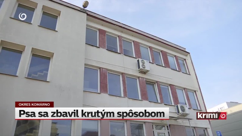 Psa sa zbavil krutým spôsobom