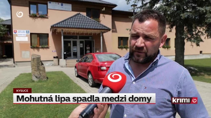 Mohutná lipa spadla medzi domy