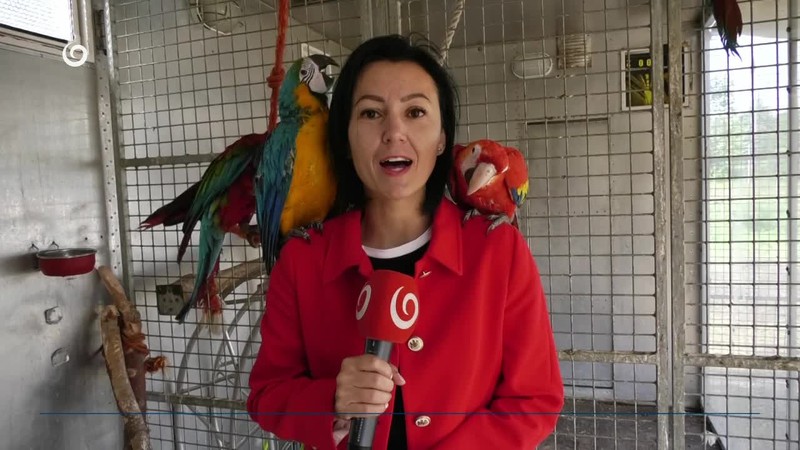 ZÁCHRANA EXOTICKÉHO OPERENCA