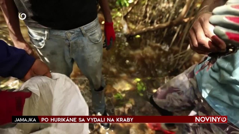 PO HURIKÁNE SA VYDALI NA KRABY
