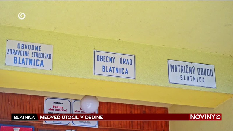 MEDVEĎ ÚTOČIL V DEDINE