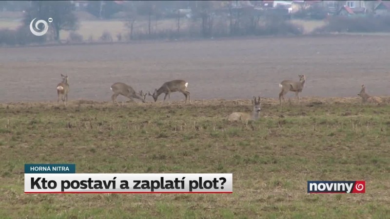 Kto postaví a zaplatí plot?