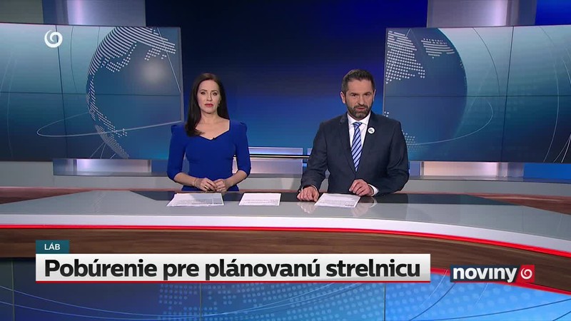 William bude zastupovať kráľa