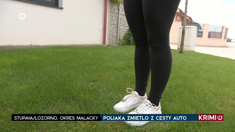 POLIAKA ZMIETLO Z CESTY AUTO