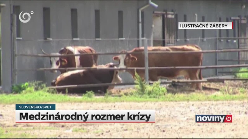 Medzinárodný rozmer krízy