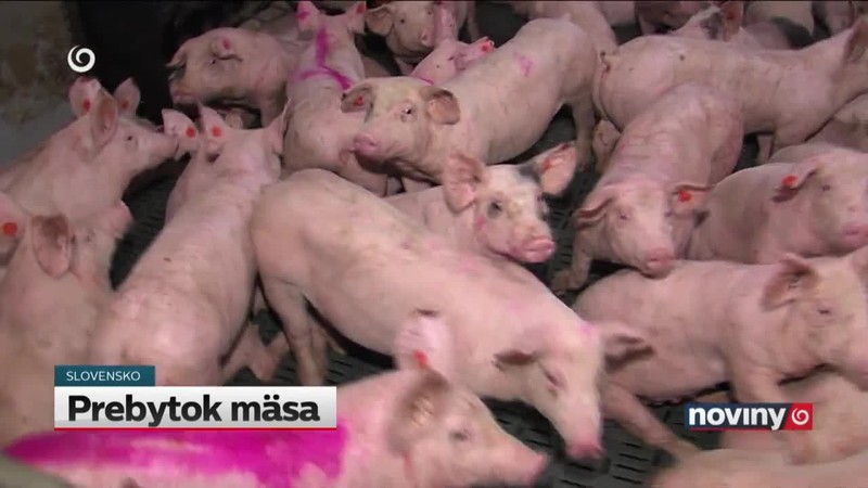 Prebytok mäsa