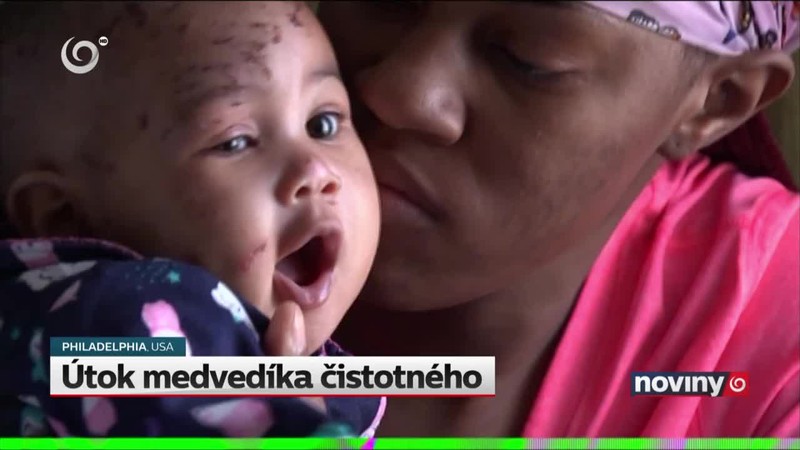 Útok medvedíka čistotného