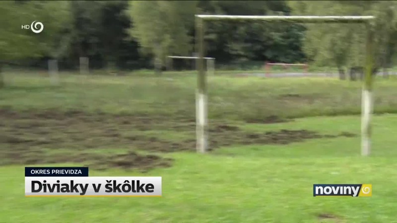 Diviaky v škôlke