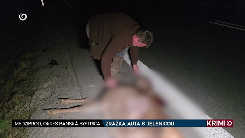 ZRÁŽKA AUTA S JELENICOU