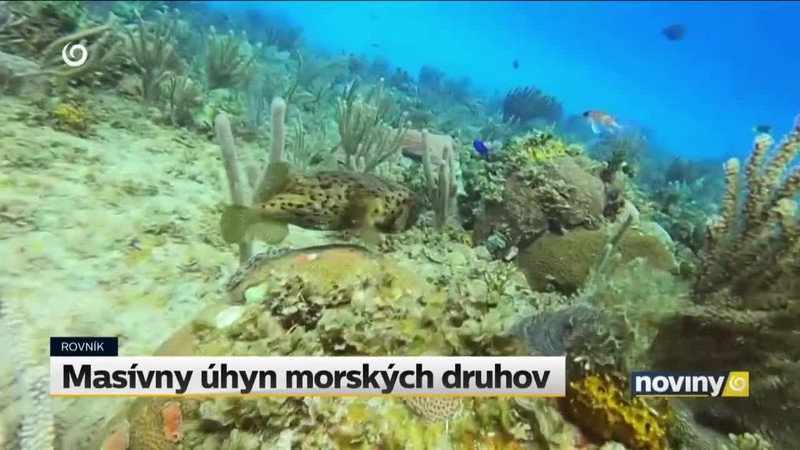 Masívny úhyn morských druhov