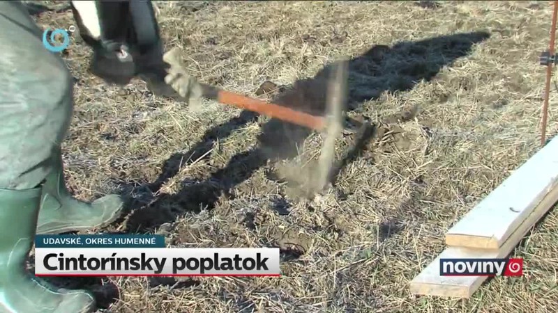 Cintorínsky poplatok