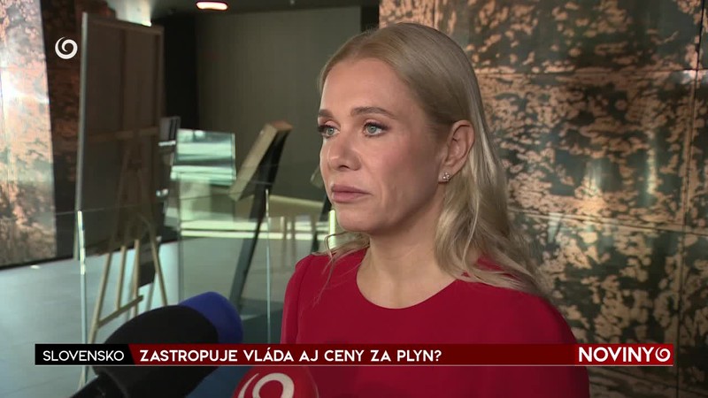 ZASTROPUJE VLÁDA AJ CENY ZA PLYN?