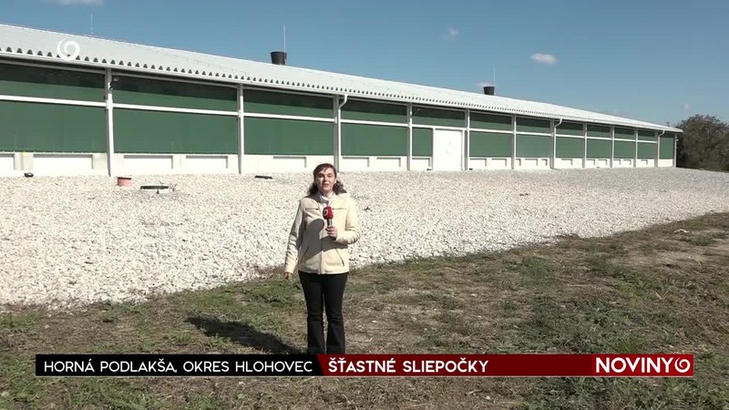 ŠŤASTNÉ SLIEPOČKY