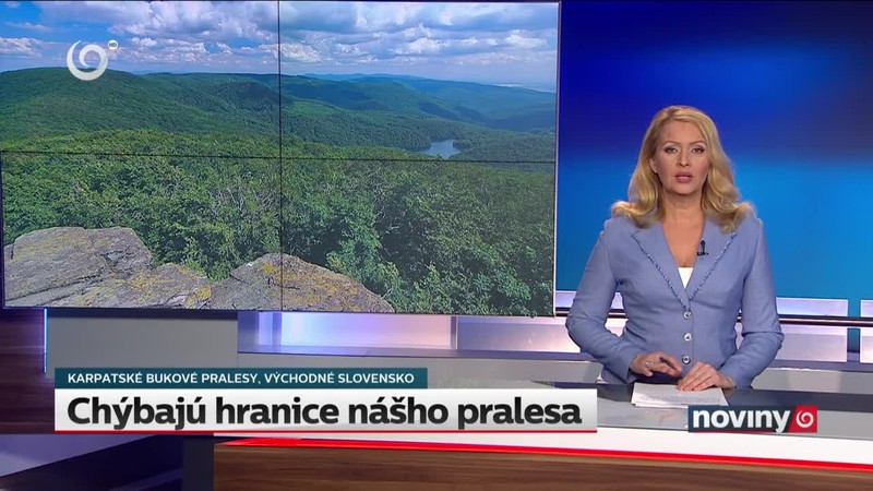 Trest pre primátora