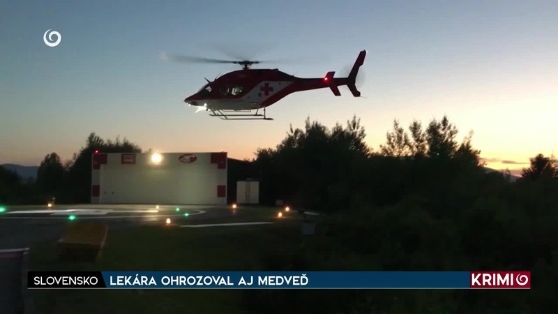 LEKÁRA OHROZOVAL AJ MEDVEĎ