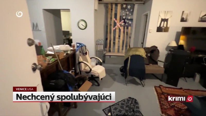 Nechcený spolubývajúci