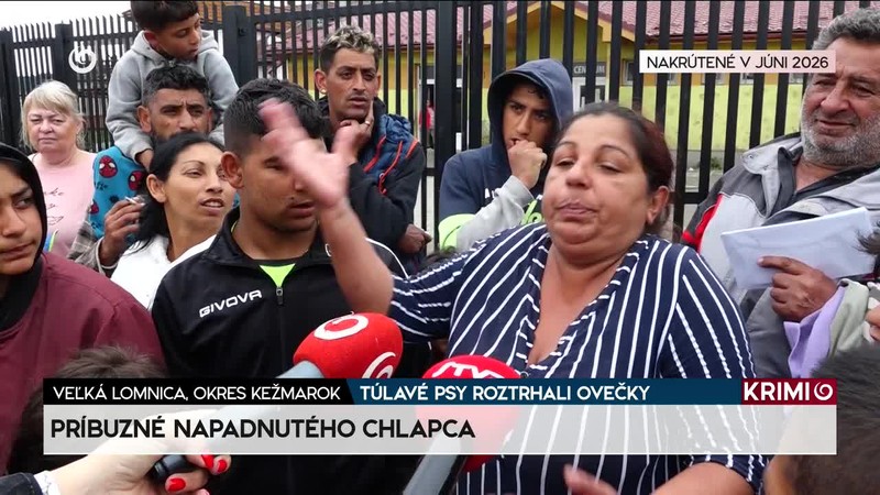 TÚLAVÉ PSY ROZTRHALI OVEČKY