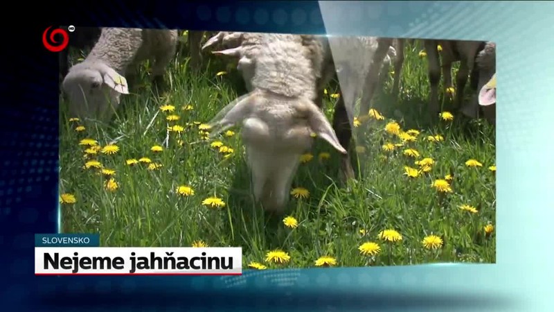 Chystajú vytiahnutie vraku