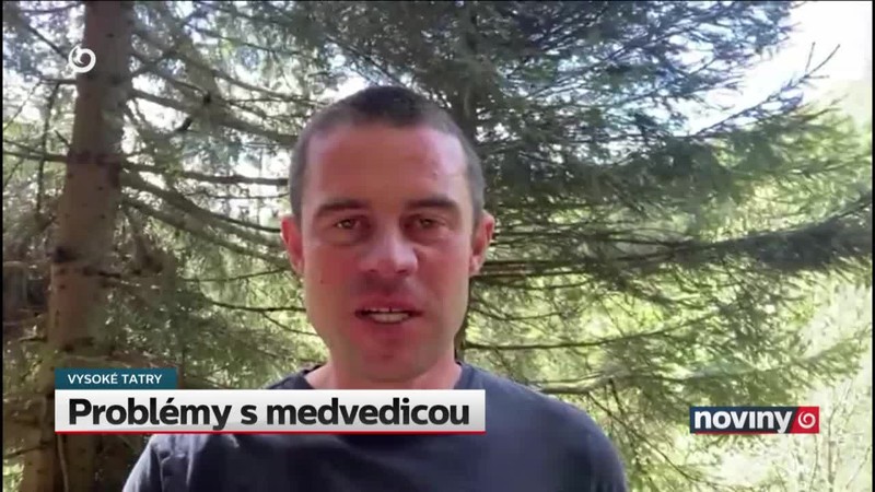Problémy s medvedicou