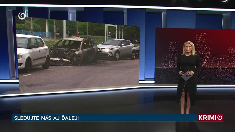 VODIČKA NARAZILA DO STROMU