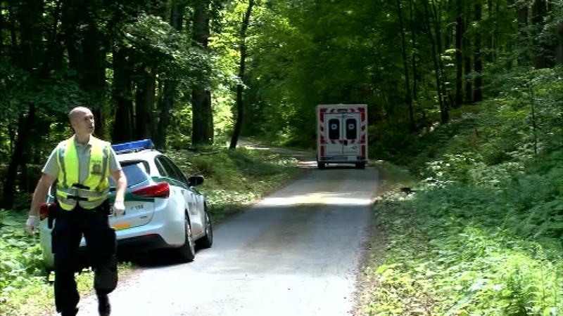 Odsúdeného väzňa privalil kmeň stromu