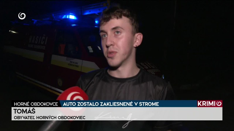 AUTO ZOSTALO ZAKLIESNENÉ V STROME
