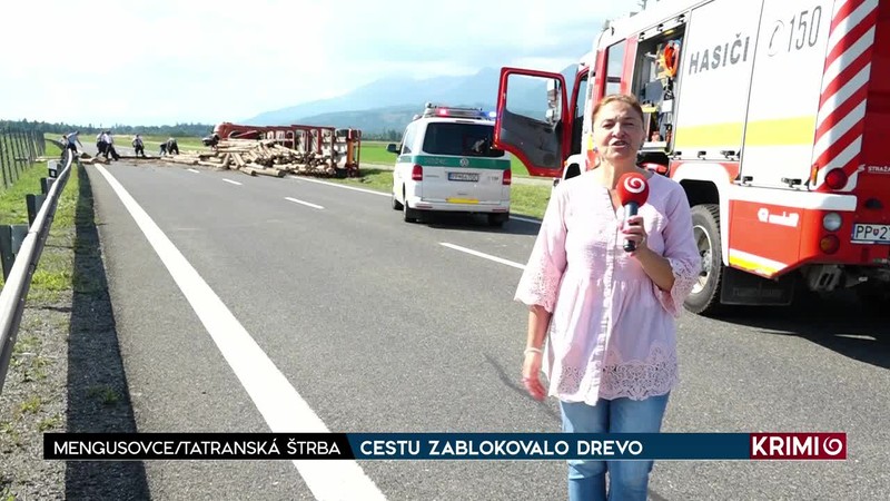 CESTU ZABLOKOVALO DREVO