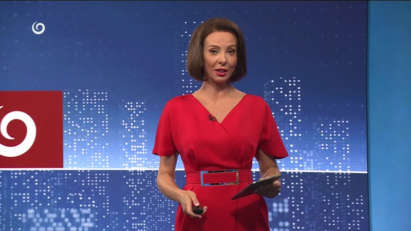 VODIČA ZASTAVILI AŽ VÝSTRELY