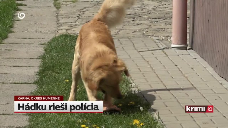 Hádku rieši polícia