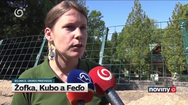 Žofka, Kubo a Feďo