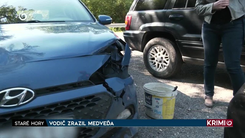 VODIČ ZRAZIL MEDVEĎA