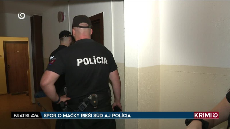 SPOR O MAČKY RIEŠI SÚD AJ POLÍCIA