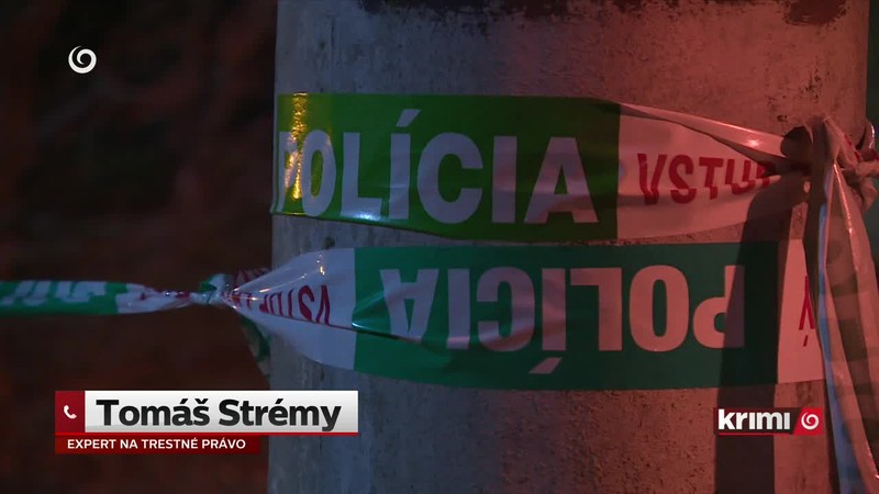 Streľba na nezvaného návštevníka