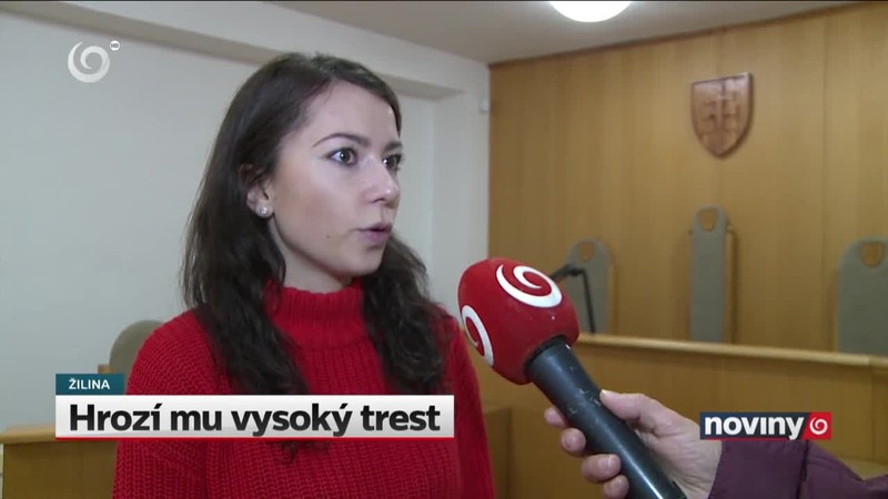 Hrozí mu vysoký trest