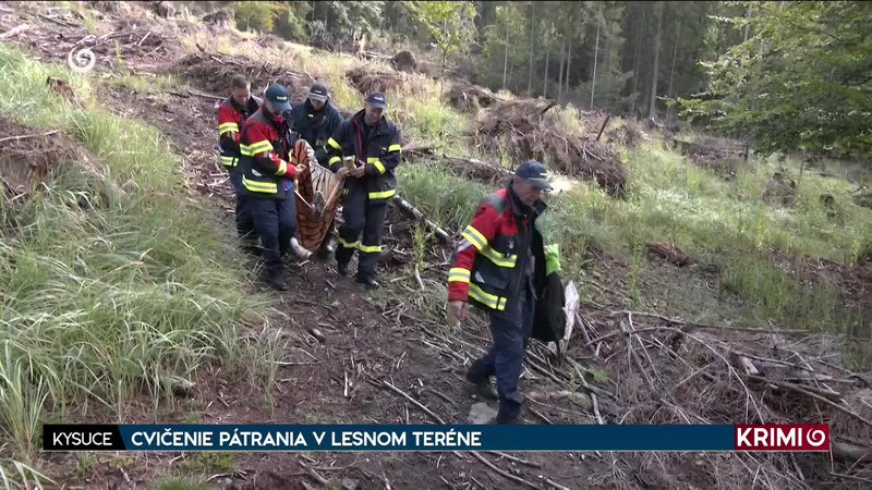 CVIČENIE PÁTRANIA V LESNOM TERÉNE