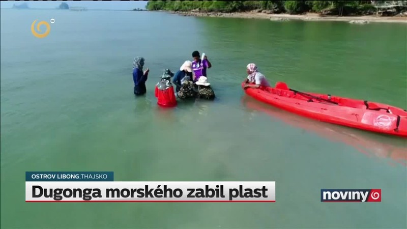 Dugonga morského zabil plast