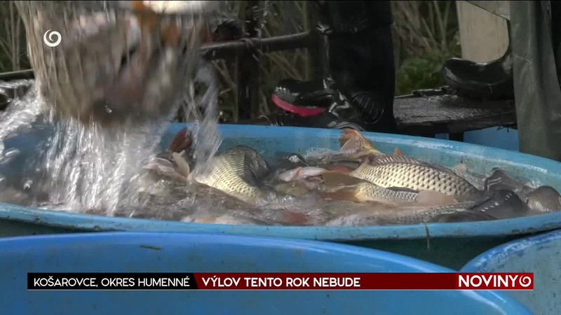 VÝLOV TENTO ROK NEBUDE