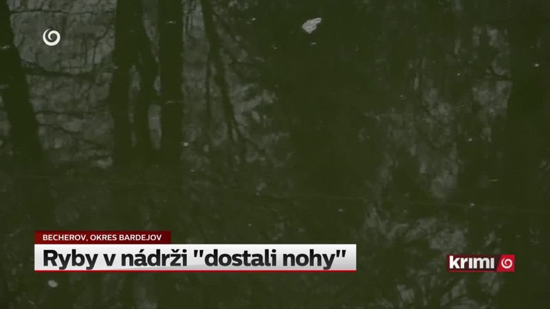 Ryby v nádrži "dostali nohy"