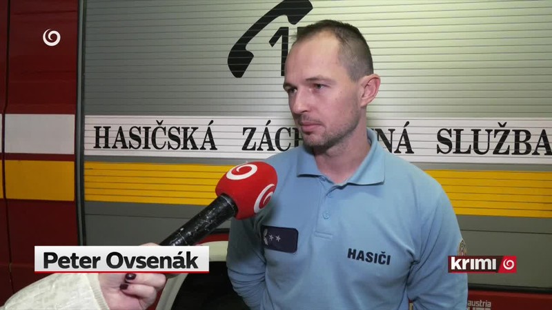 Vianoce so "služobnou" rodinou