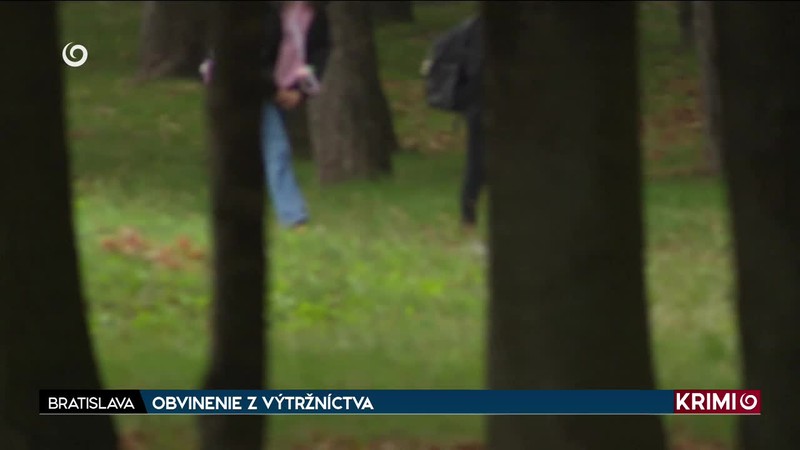 OBVINENIE Z VÝTRŽNÍCTVA