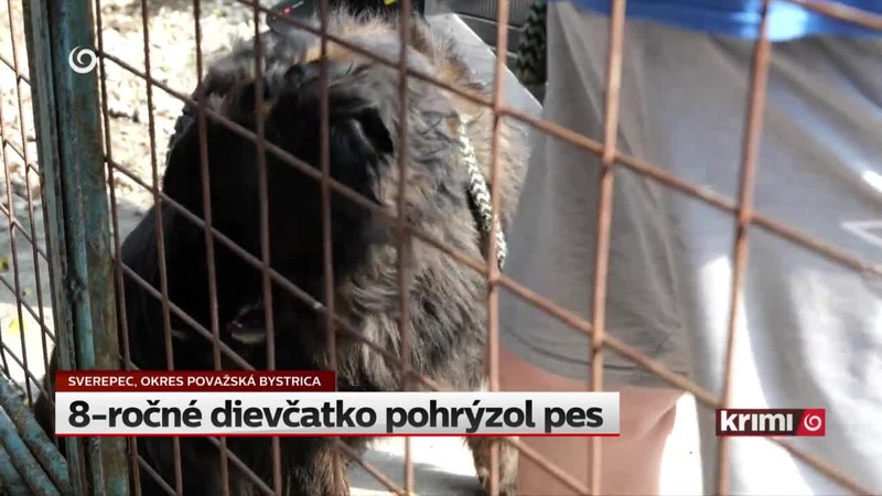 8-ročné dievčatko pohrýzol pes