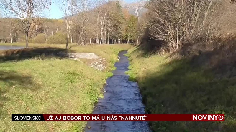 UŽ AJ BOBOR TO MÁ U NÁS "NAHNUTÉ"