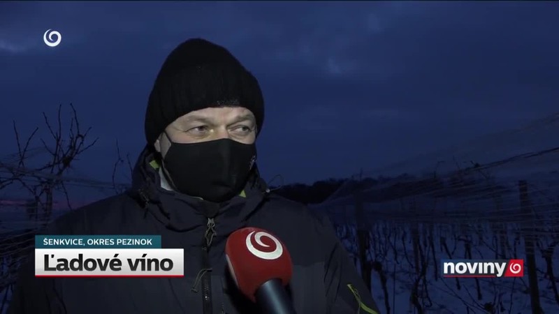 Ľadové víno