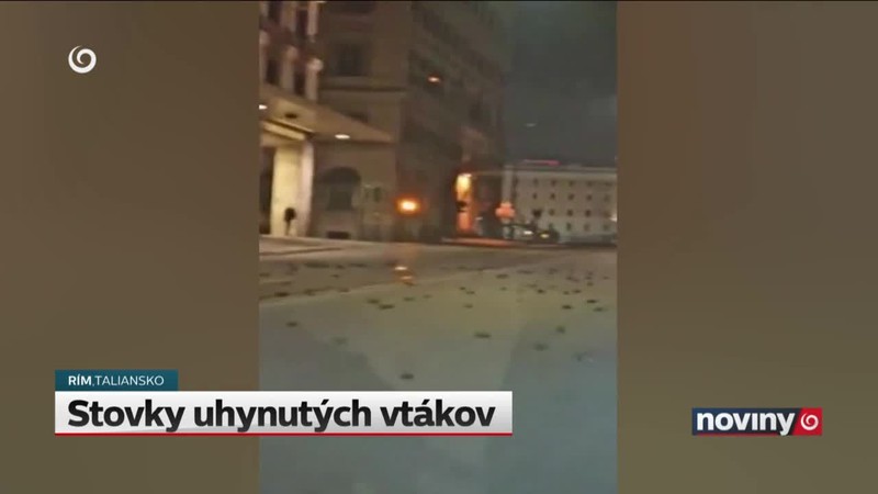 Stovky uhynutých vtákov