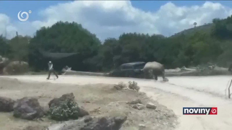 Nosorožec zaútočil na auto turistov